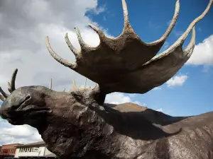 Antler Arches of Jackson