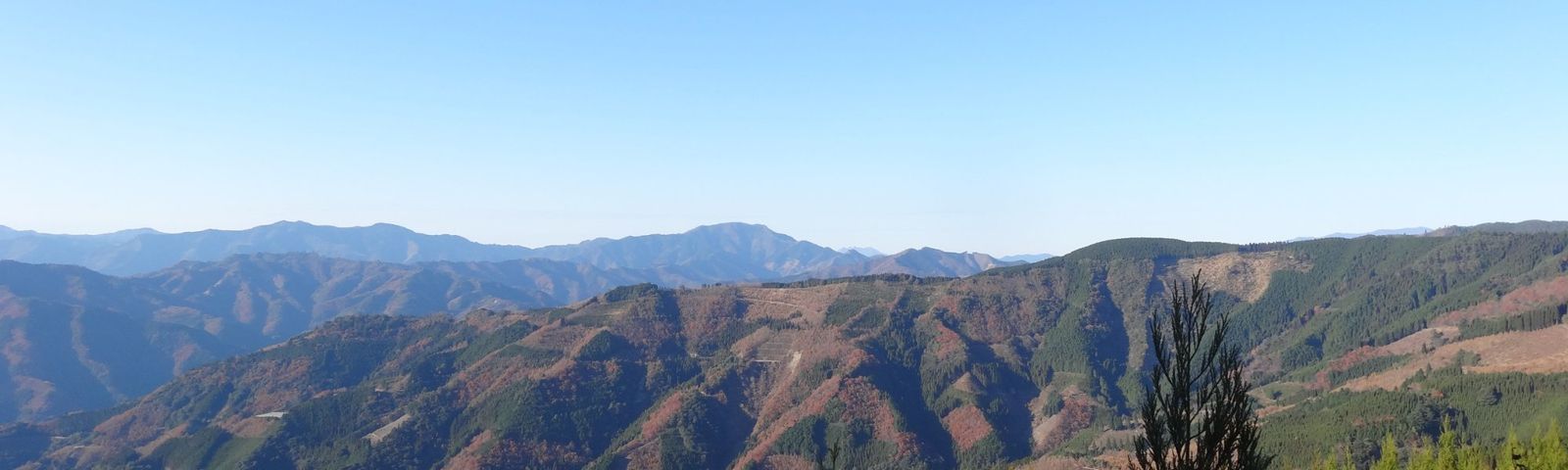 travel