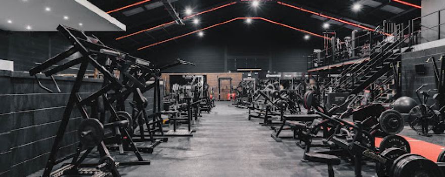 Modified Fitness