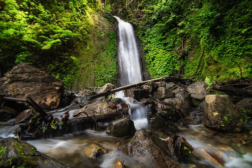 Palu to Nabire Regency Flights