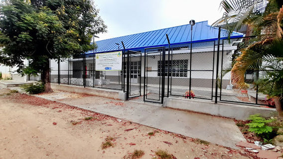 Casa de la Cultura, Carmen de Apicalá
