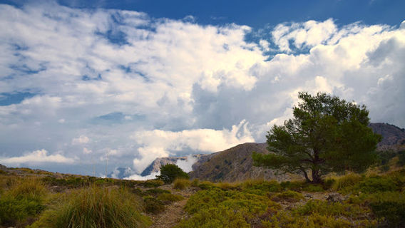 Torrent de Sa Marina