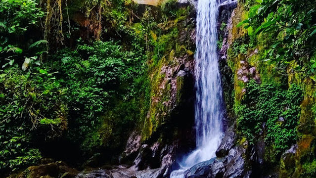 Finca Pozas Guácimo
