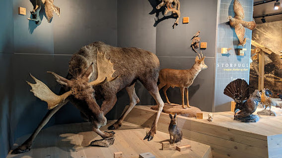 Sykkylven Museum of Natural History