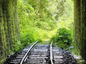 Túnel General Osório