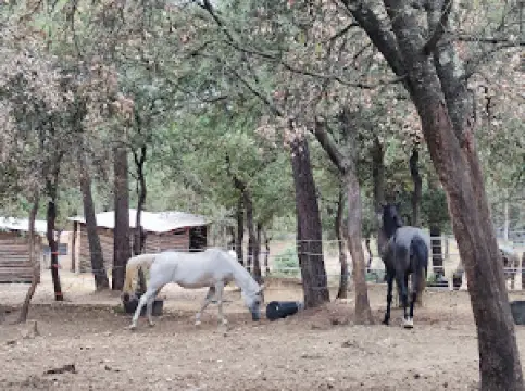 Parc Animalier Les Aigles du Verdon
