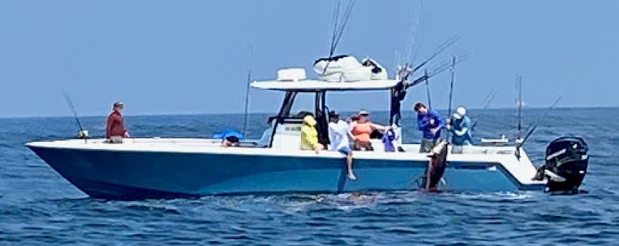 Tunatown Fishing