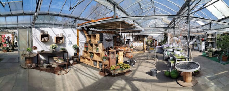 Baumschule Lauer Ihr Gartenmarkt in Meyn bei Flensburg mit Floristik & Gartengestaltung