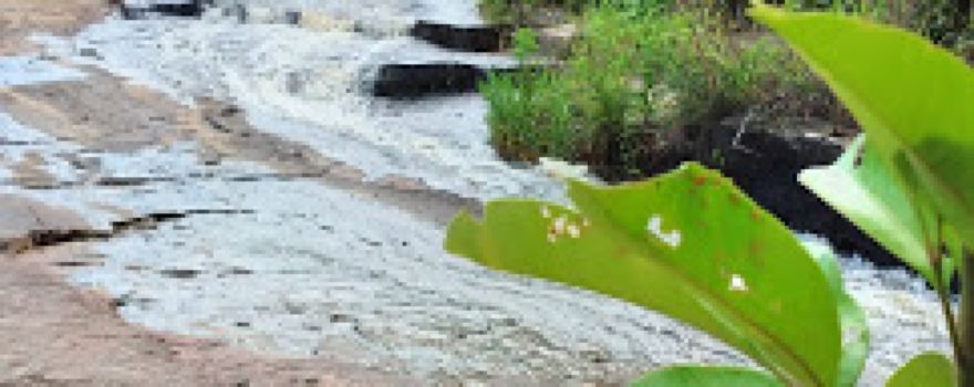 Parque Ecológico Verde Vida