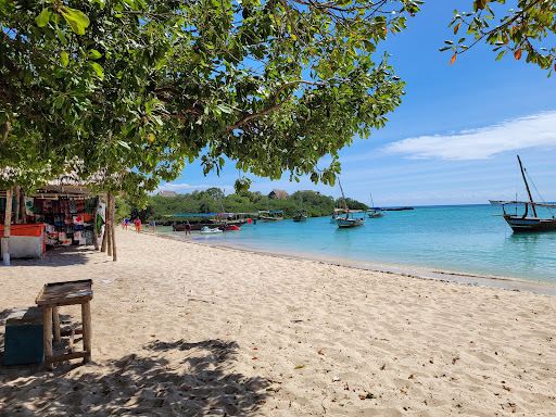 The Safari Blue, Zanzibar