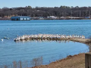 Caney Creek Recreation Area