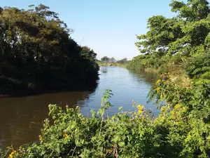 Amanzimtoti Country Club