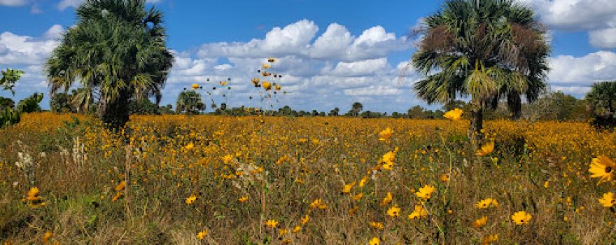 Fisheating Creek Wildlife Management Area