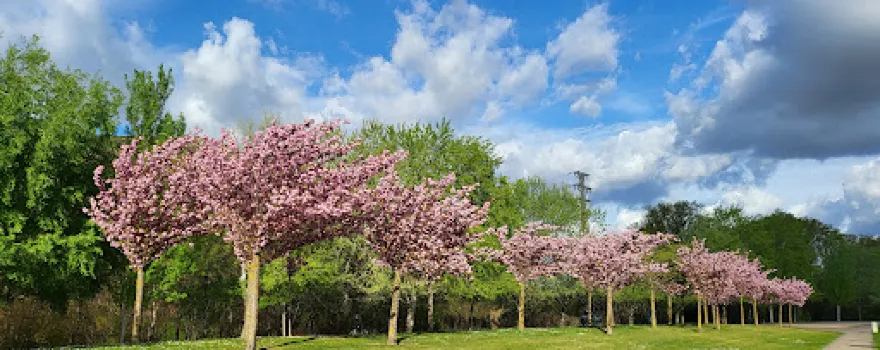 Parque de La Ribera