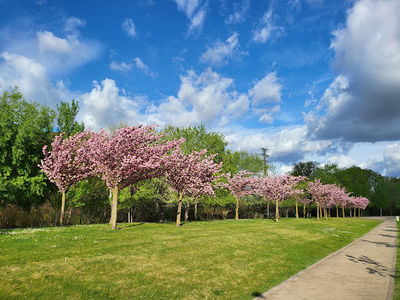 Parque de La Ribera