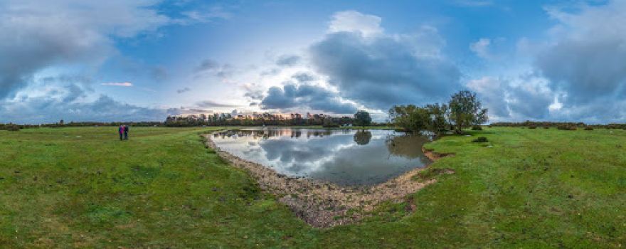 Janesmoor Pond
