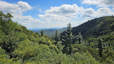 Alligator Back Overlook