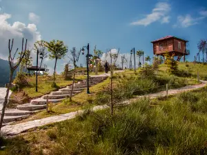 Arapdüz Picnic Area