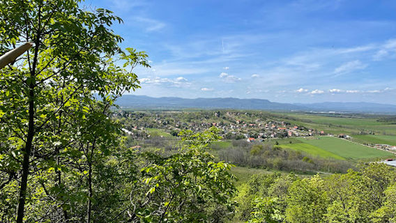 Foti Somlyo Summit