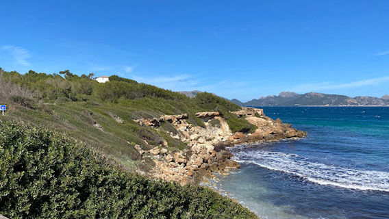 Alcúdia