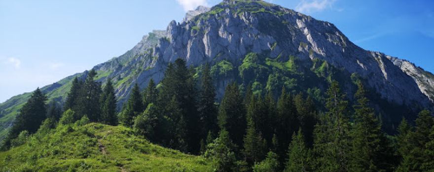 Fläschlipass