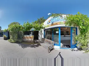 Camping des Roussières