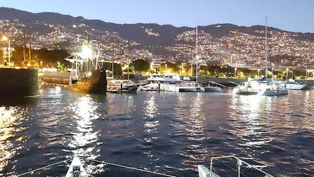 VMT Madeira - Catamaran Trips