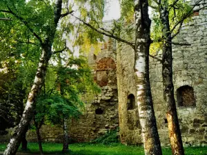 Bernardine Monastery