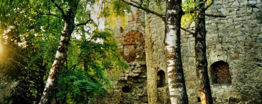 Bernardine Monastery