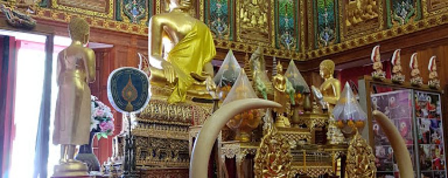 Wat Don Chedi