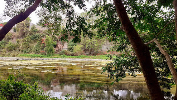 tantocob Cd. Valles Park