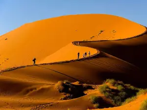 Big Mamma Dune