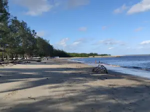 Pantai Sungai Bakau