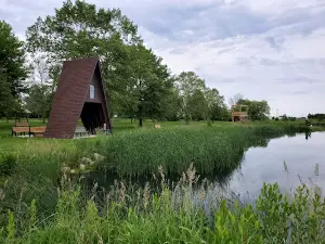 Wilder Park