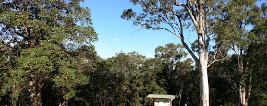 Persse Road Park