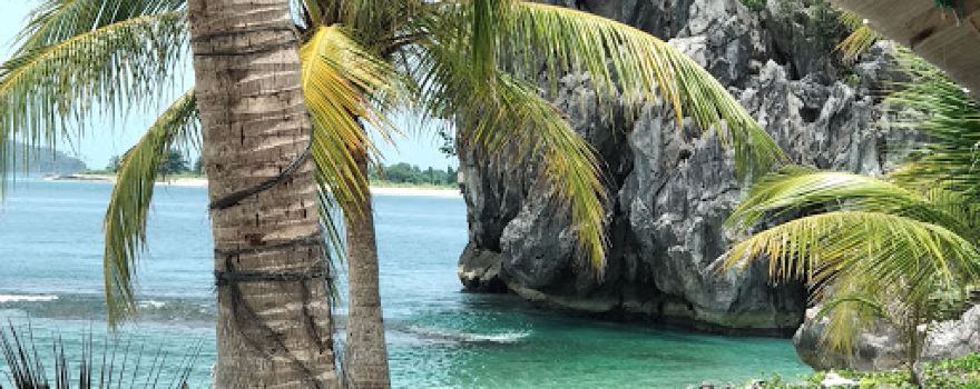 Pulau Kluang