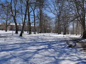 Ulricehamns city park
