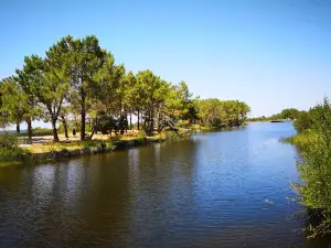Beach of the Port
