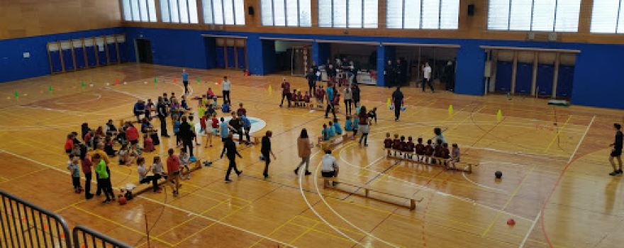 Sports hall Kočevje