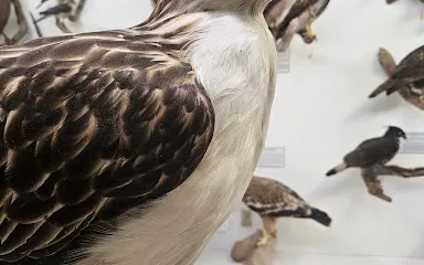 World Museum of Natural History