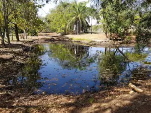 Water Gardens