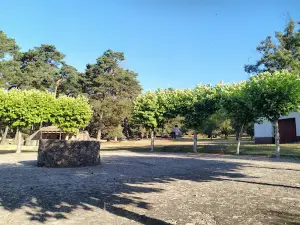 Área recreativa de Pinarejos