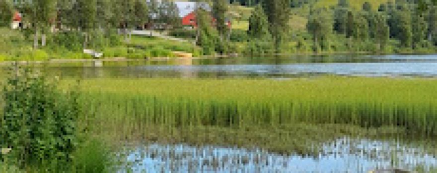 Park for caravan with lake view