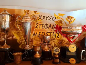 Puzzle Museum / Μουσείο Γρίφων
