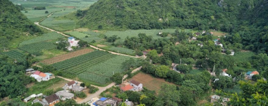 Sân vận động thống nhất