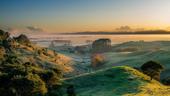 The Hauraki Experience