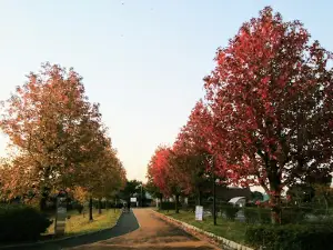 Aderihoshi Park