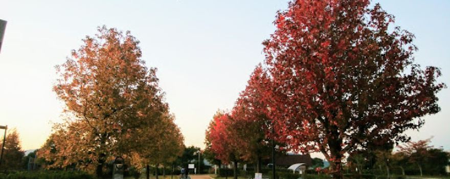 Aderihoshi Park