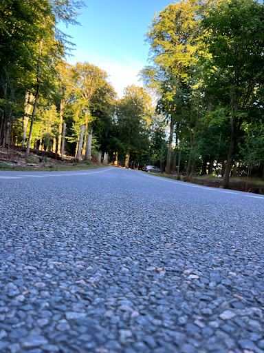 Deer Park Vejle