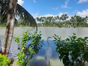 Nurjahan Garden